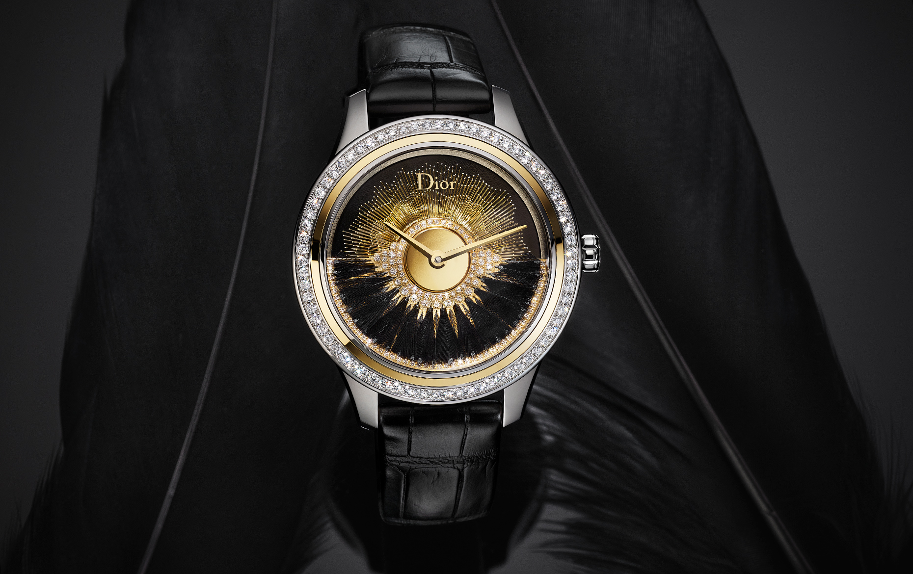 Dior Ball Black Feather Watch 